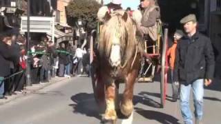 Festa dels Tonis de Taradell [upl. by Drareg104]