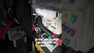 Fix water in Trunk Cadillac CTS Rear Sunroof Drain [upl. by Cowie]