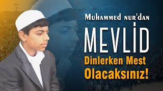 MEWLÜDA ŞERİF  MUHAMMED NUR YÖNDEN KÜRTÇE MEVLİT [upl. by Appledorf87]