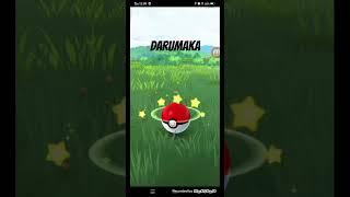 Darumaka pokemongo collectiblecardgame [upl. by Ahsekad]