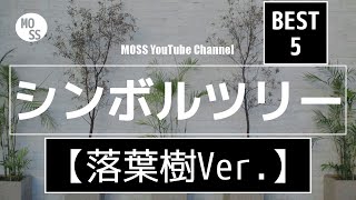 【庭木のおすすめ】シンボルツリー【落葉樹Ver】【アオダモからモミジまで！】 [upl. by Noimad]