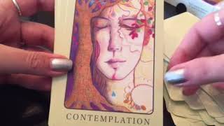 Peace Oracle CardsClose Up ReviewSee each card plus bonus reading [upl. by Dehnel531]