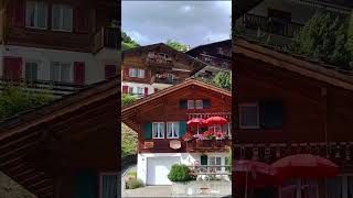 Grindelwald Switzerland short shorts shortvideo shortvideos travel nature [upl. by Rooney]