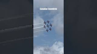 Canadian Snowbirds Flight Demonstration pacificairshow [upl. by Lanette916]