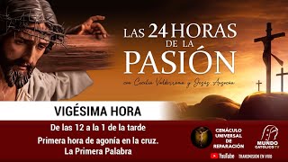 02 de 24 I Horas de la Pasión de Jesús Luisa Piccarreta Divina Voluntad [upl. by Meredi]