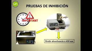 Práctica inhibidores de tripsinaLaboratorio de Bioquímica [upl. by Adnyc]