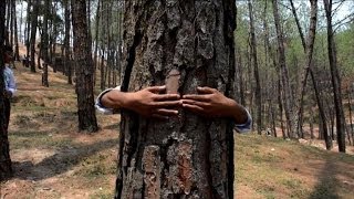 Journée mondiale de lEnvironnement des Népalais enlacent des arbres [upl. by Lazaro]