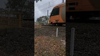 Waratah passing Toongabbie station platform 4 [upl. by Hsizan]