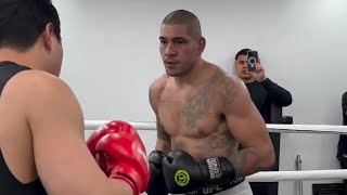 ALEX PEREIRA HARD SPARRING A PRO BOXER IN KOREA [upl. by Oinigih]