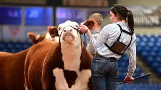 Sandhills Stock Show 2024 Highlight [upl. by Bergeron]