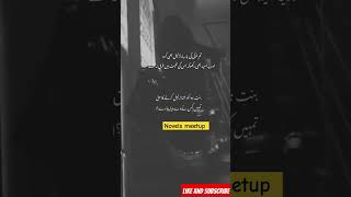 Dastan e mohabbat bestnovel ytshorts youtubeshorts youtube novelsmeetup2023 [upl. by Irmine]