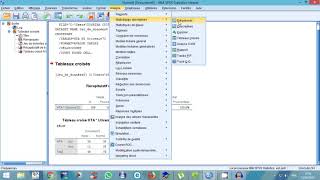 Tableau croisé odd ratio et risque relatif sous SPSS analyse des facteurs de risques [upl. by Blanche67]