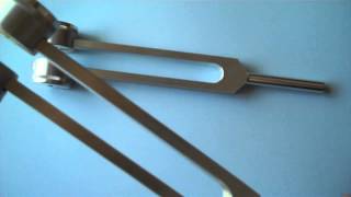 New Tuning Fork design Dr Salo Stanley OHM C 13610 hz [upl. by Namialus]