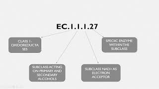 Enzyme nomenclature and classification  Malayalam [upl. by Deelaw]