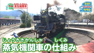 【のりもの図鑑】蒸気機関車のしくみ（大井川鐵道） [upl. by Bob]