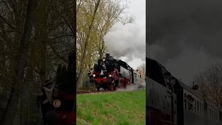 De 64 415 rijd station Eerbeek binnen met pieten op de loc [upl. by Airretnahs]