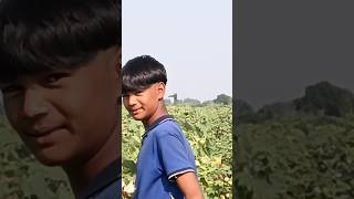 Desi chora kapa vinva trendingshorts farming viralvideo subscribe blogr [upl. by Niboc]