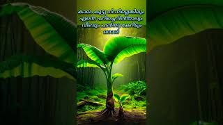 Thee venalil pollathe song lyrics Vazha film  Atimanoharam song Malyalam lyrics video [upl. by Seda]