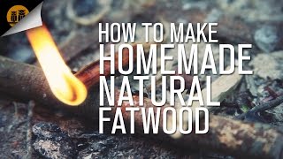 How To Make Homemade Natural Fatwood [upl. by Marilou44]