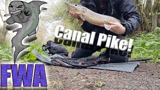 Lure fishing for Spring Canal Pike  Mid Wales UK  Abu Garcia Tormentor [upl. by Oileve]