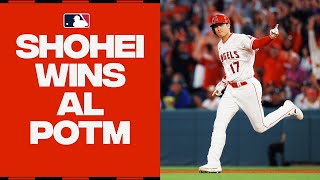 Shohei Ohtani continues to DOMINATE Wins AL Player of the Month for June  大谷翔平ハイライト [upl. by Nilrev702]