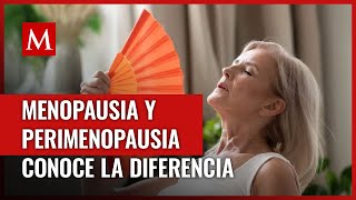 Estos son los síntomas de la perimenopausia y su diferencia con la menopausia [upl. by Ayortal487]