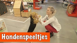 Hondenspeeltjes testen  DierenpraatTV [upl. by Padraic289]