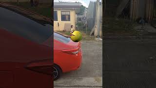 Angry Pacman game over funny comedyfilms comedy [upl. by Secrest]