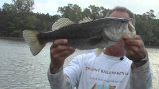 Trophy Bass Haven Resort on Castin Cajun [upl. by Rosalia354]