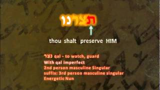 KJV Error Incorrect pronoun in Psalm127 [upl. by Threlkeld250]