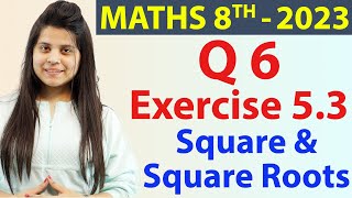 Q 6  Ex 53  Square and Square Roots  NCERT Maths Class 8th  Chapter 5 New Syllabus CBSE 2023 [upl. by Ayekel]