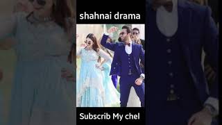 Shehnai Episode 1 Drama Pakistani [upl. by Cally898]