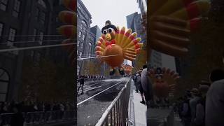 When the turkeys fight back 🎃youtubeshorts 🎃🎃youtubeshorts [upl. by Danyluk56]