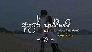 Adare Pujaniyai  මේ ආදරේ පූජනීයයි SlowedReverb [upl. by Eelra]