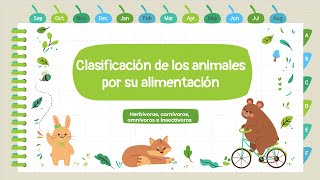 Clasificación de los animales por su alimentación carnívoros herbívoros omnívoros e insectívoros [upl. by Ahsinhoj199]