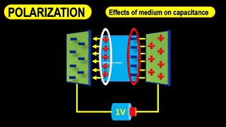 Dielectric polarization  Dielectric polarization animation  Polarization of dielectric slab [upl. by Eerahc]