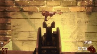 Black Ops 2 Ray Gun EVERY TIME GLITCH [upl. by Notsuh]