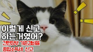 종합소득세 신고 과정 총정리 4단계로 끝내기  간편장부대상자  기준경비율  절세 방법  종소세 신고 [upl. by Adnol81]