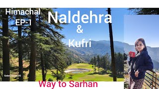 Ep1NaldehraGolf courseKufri Horse Riding Himachal Pradeshtravel travelvlog [upl. by Ydaf93]