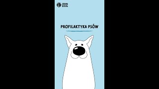 Profilaktyka psów  ZDROWIE PSA  John Dog [upl. by Coltin159]