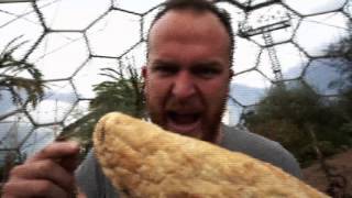 Kernow King trash talk  World Pasty Championships 2016 Eden Project [upl. by Kannav]