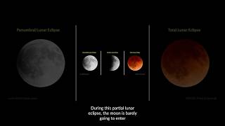 Eclipse Alert Partial Lunar Eclipse  September 17 2024 space astronomy lunareclipse [upl. by Brandes]