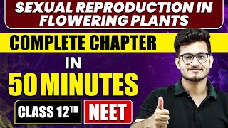 SEXUAL REPRODUCTION IN FLOWERING PLANTS in 50 Minutes  Full Chapter Revision  Class 12th NEET [upl. by Soneson]