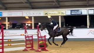 Nijerite by Comthago x Douglas  indoor wierden 7th place [upl. by Selinski365]