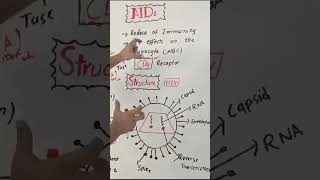 Retroviruses scienceeducation biology viralshorts bioscience [upl. by Ainerbas]