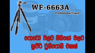 Weifeng WF 6663 A Professinoal Tripod Best Tripod Review  සිංහලෙන් camera Tripod [upl. by Eynaffit]