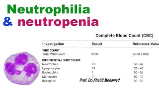 How is neutrophils count interpreted neutrophils leukocytes inflammation stress neutropenia [upl. by Felike]