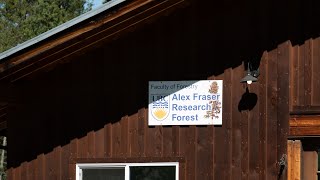 UBC Alex Fraser Research Forest AFRF [upl. by Kcirted]