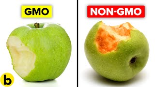 Genetically Modified Foods and Their Pros And Cons [upl. by Lily]