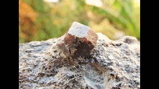 Almandine garnet mineral specimen from Ahladia in Nevrokopi in Macedonia Greece [upl. by Kehsihba]